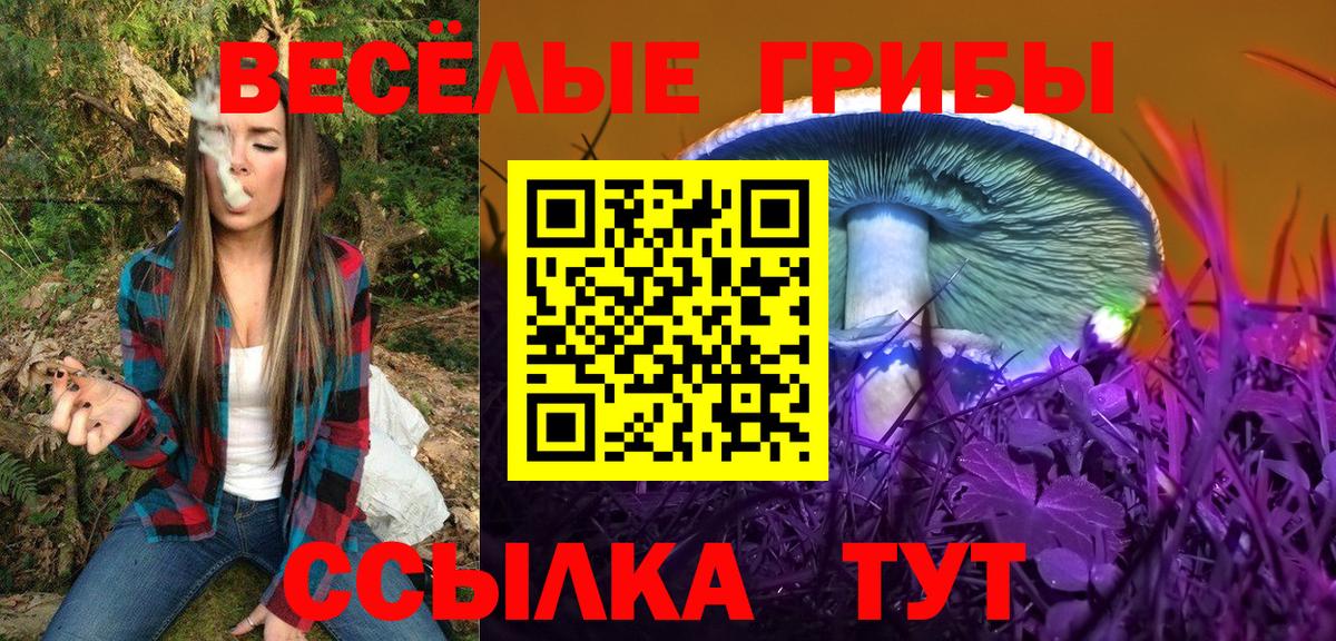 Галлюциногенные грибы прущие грибы  Вход с VPN  Галлюциногенные грибы GOLDEN TEACHER  Выборг 